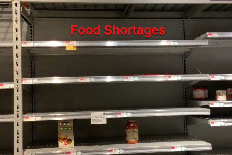 Empty Shelves in a food shortage